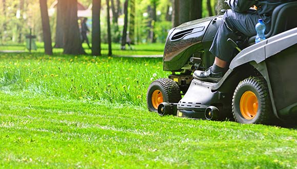 Lawn care services from CT Home Inspections